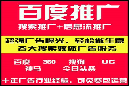 成功案例分享：SEM竞价代运营策略解析